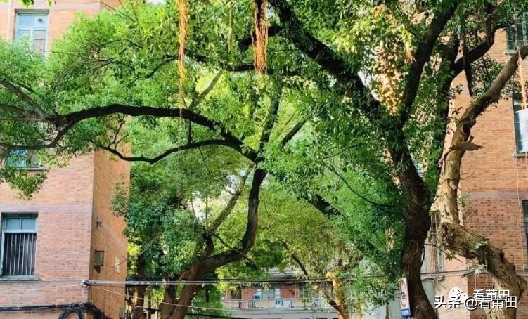 莆田市出租屋,莆田租房现代风