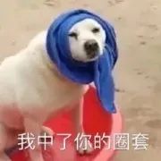 你家买到山寨货了吗?哈哈哈哈哈这谁顶得住啊!