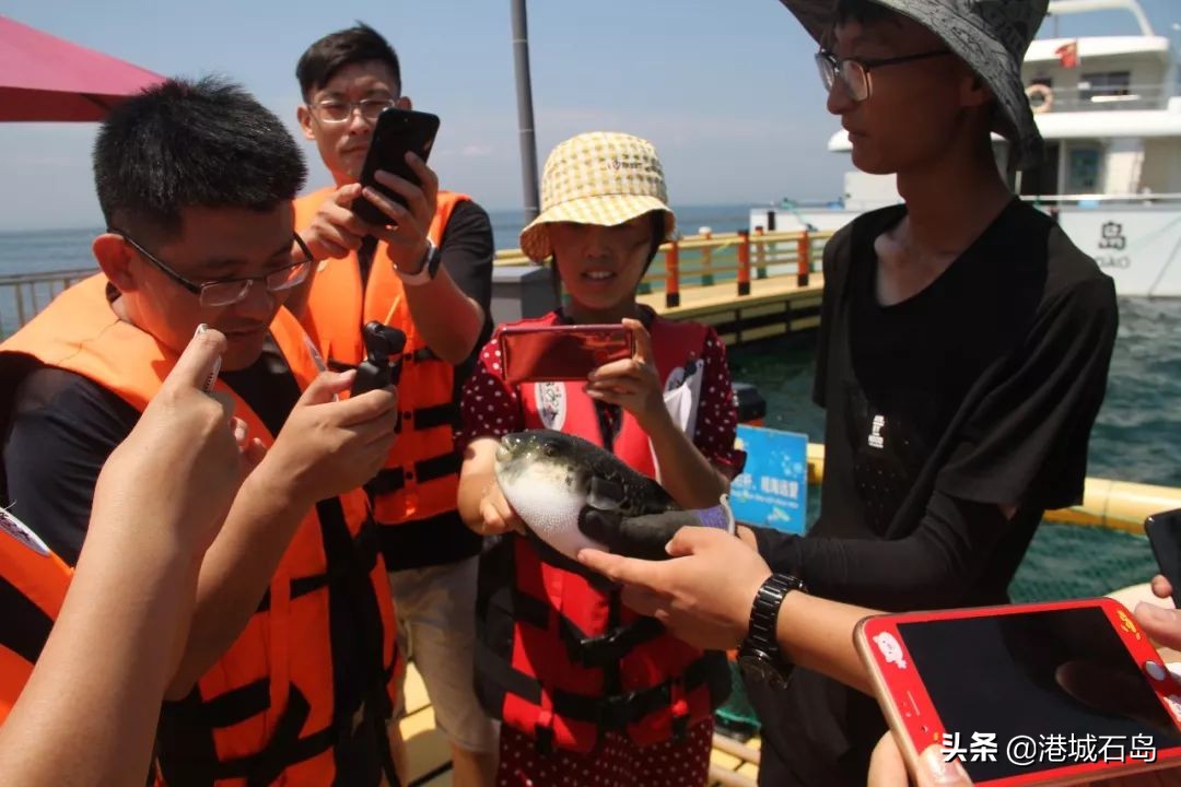 国企扎堆选择石岛，何为？