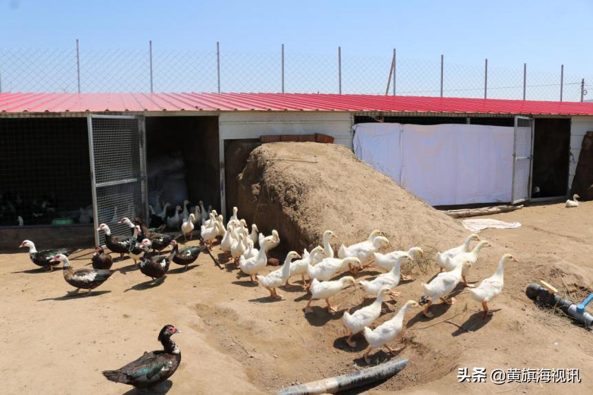 2023年驻村帮扶工作队帮扶计划,驻村工作队帮扶情况