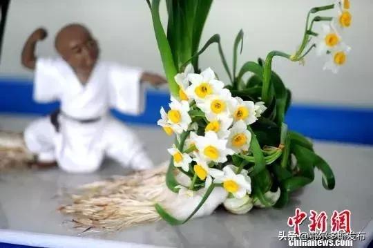 为什么选牡丹为国花,牡丹被定义为国花