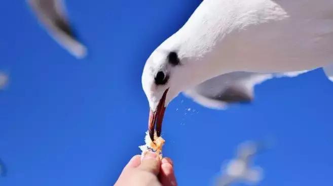 旅居昆明邂逅浪漫滇池,昆明滇池环线一日游