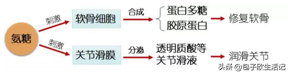 父母腰疼颈椎疼怎么办,父母腰酸背痛看什么科