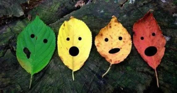 容易产生心理疾病的六种性格,心理学中人的七种基本情绪