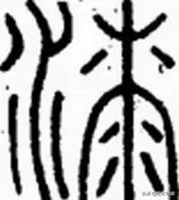 木蜡和蜂蜡的区别,木蜡油和蜂蜡有什么区别