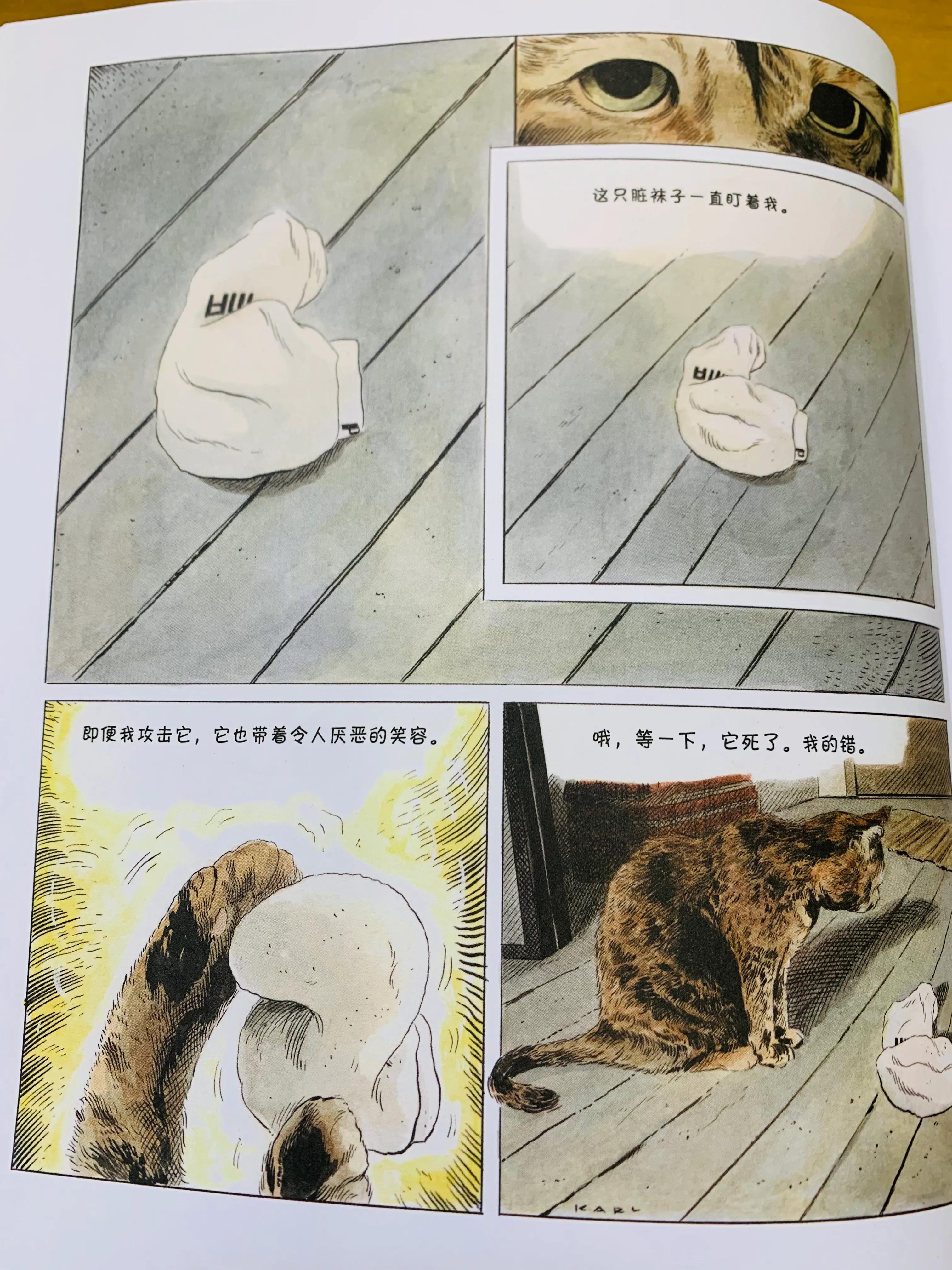 猫咪漫画治愈系短片,猫咪的搞笑漫画