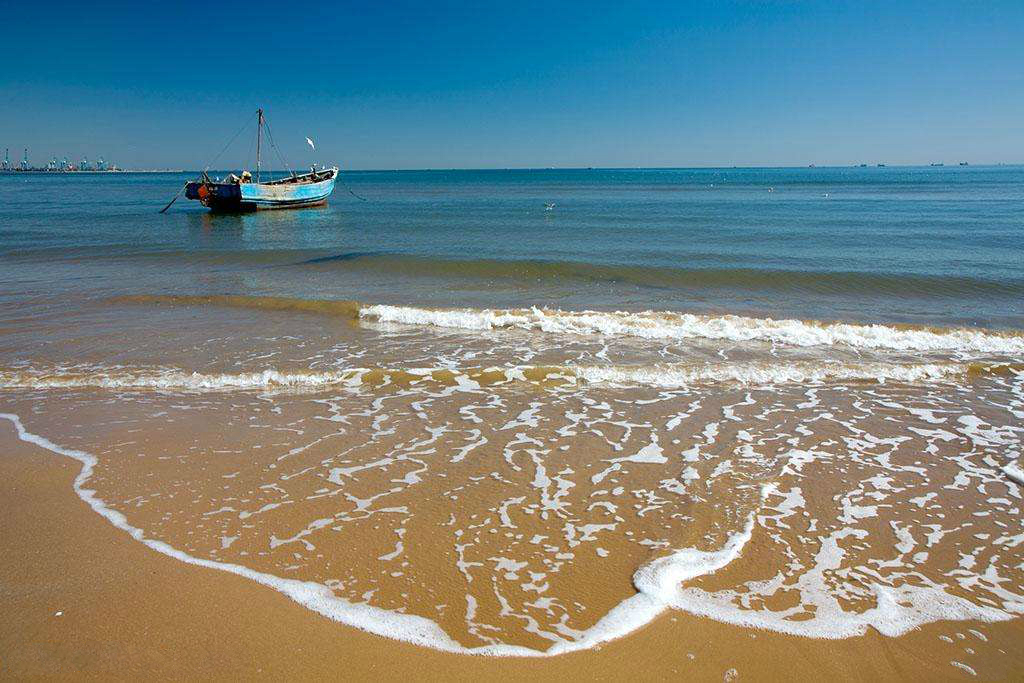 包小仙吃淡菜,包小仙无盐虾皮怎么样