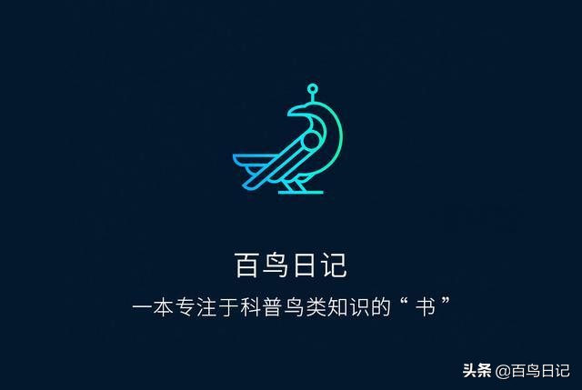 治疗鸟的眼病用什么药,鸟类的眼部疾病