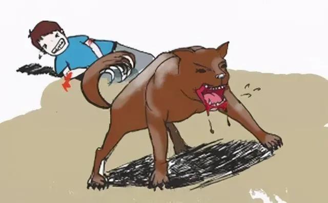 恶犬扑过来怎么办,恶犬攻击如何自救