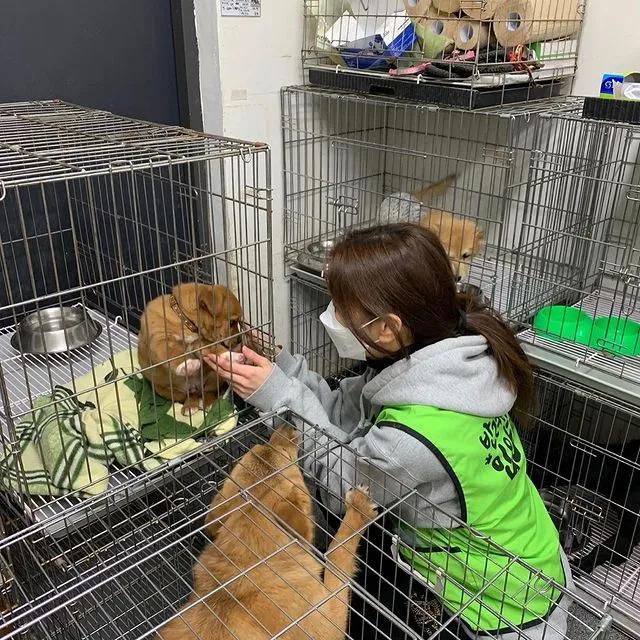 tony老师高阶换头术,90后tony老师换头术