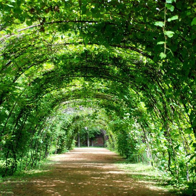 刘巧珍美丽善良痴情隐忍,刘巧玲诗句