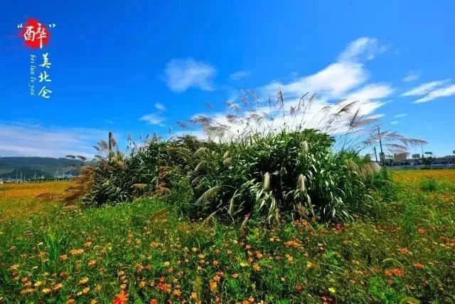 北仑旅游攻略大全集,北仑旅游攻略