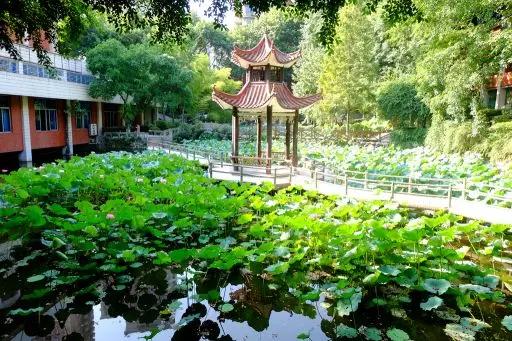 重庆一中本部到底有多强,重庆一中小升初试题及答案