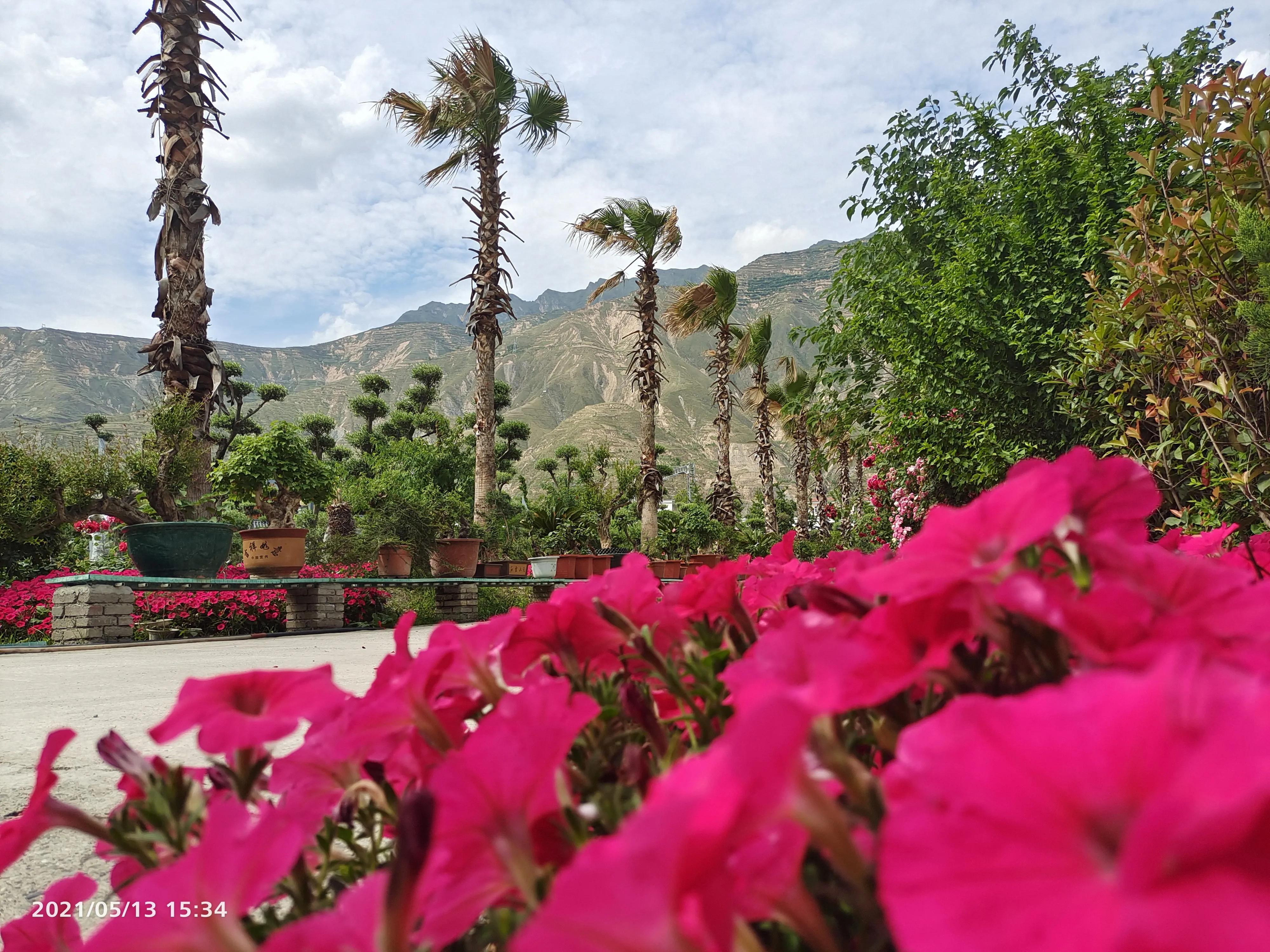 陇南育才学校简介,陇南育才学校教学质量