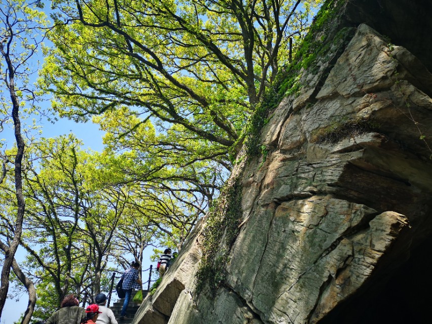 孙悟空的旅游胜地在什么地方,孙悟空的老家花果山水帘洞