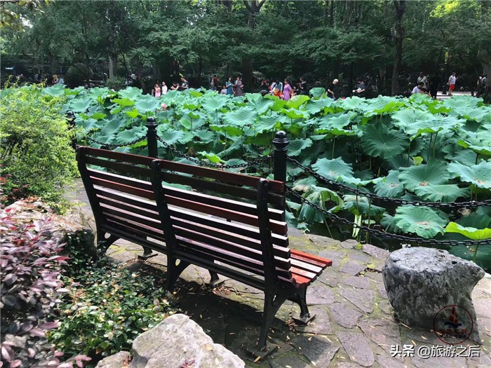 鲁迅公园里面有什么,鲁迅公园有什么值得去的