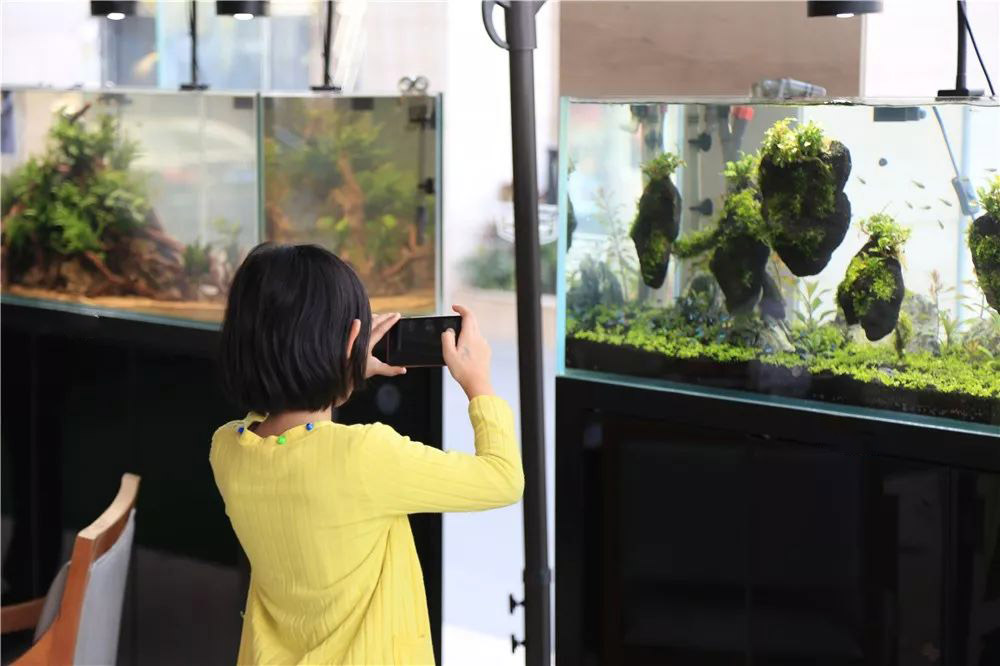 开一家水族店前景,开一个水族店需要多大投资