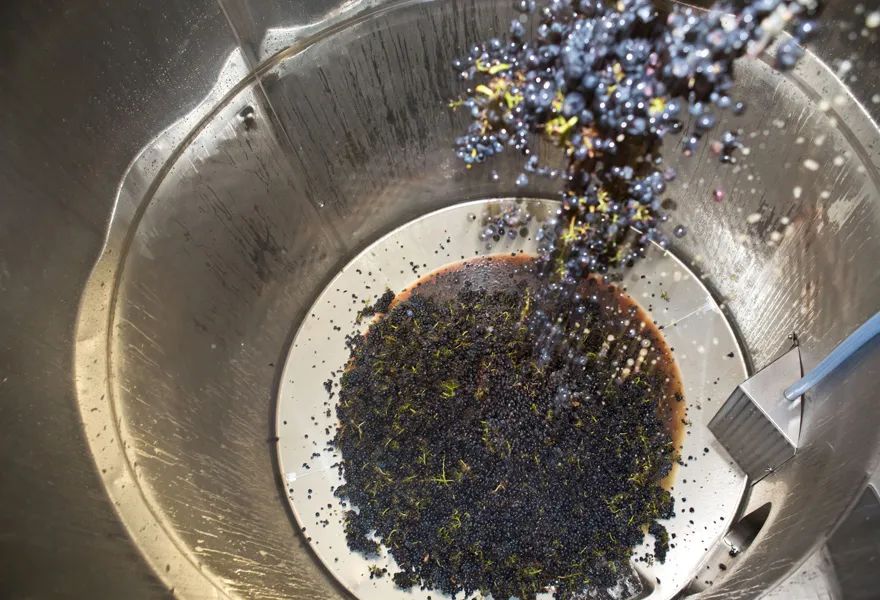 半甜型葡萄酒酿造过程,欧洲葡萄酒的酿造过程