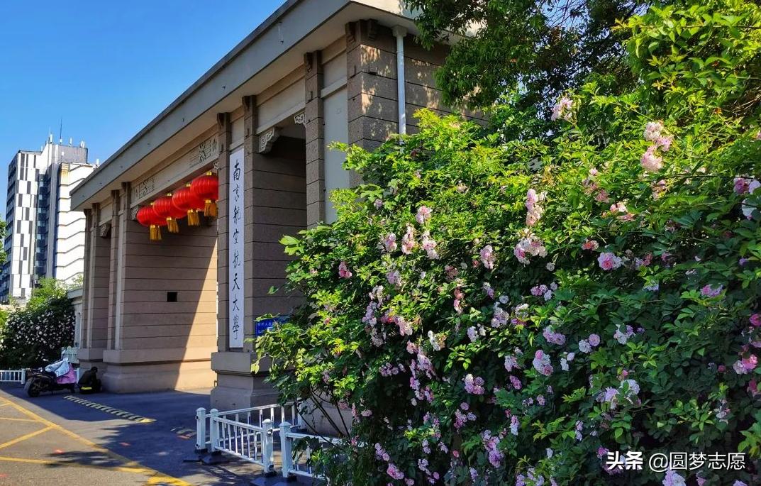 最值得收藏的8所学院,10所顶级211