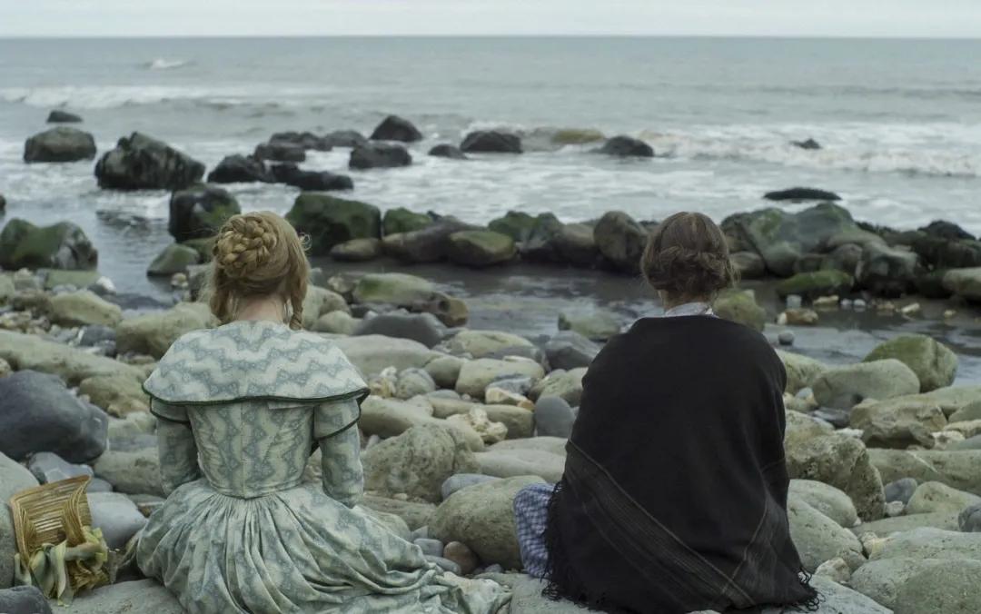 《菊石》的后劲：沉浸体验式的阅片过程，前所未有