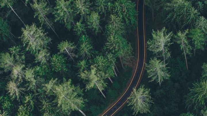 拥有处女座你就拥有全世界,拥有处女座会怎么样