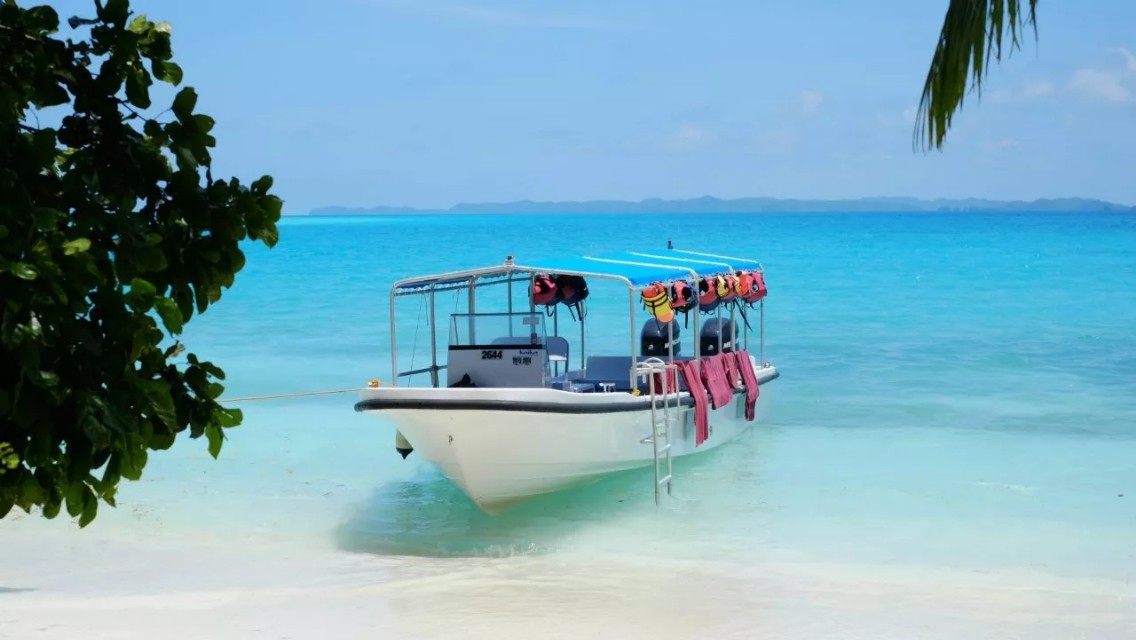 中国护照2019年最新最全免签、落地签攻略，拎包就走！