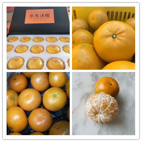 公益助农融汇爱心之旅温暖收官,爱心公益助农第四天