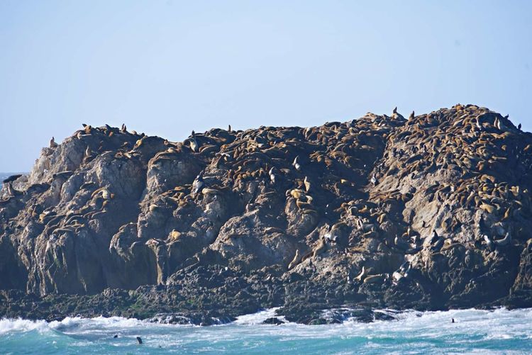 美国德州西部自由行,美国西海岸可以自由航行么