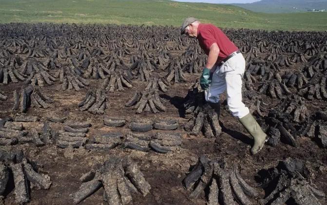 关于威士忌的小问题,小孩子和威士忌