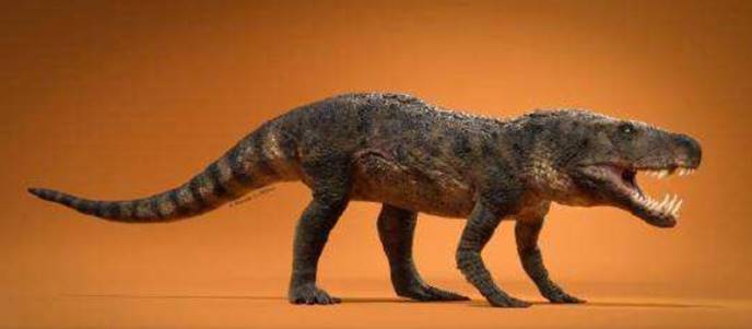 科学家发现了世界上第一代的恐龙,哪个恐龙是世界上最早出现的恐龙