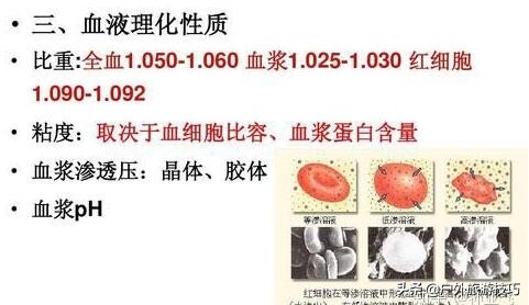在野外没有盐怎么办,在野外怎么能够弄到盐