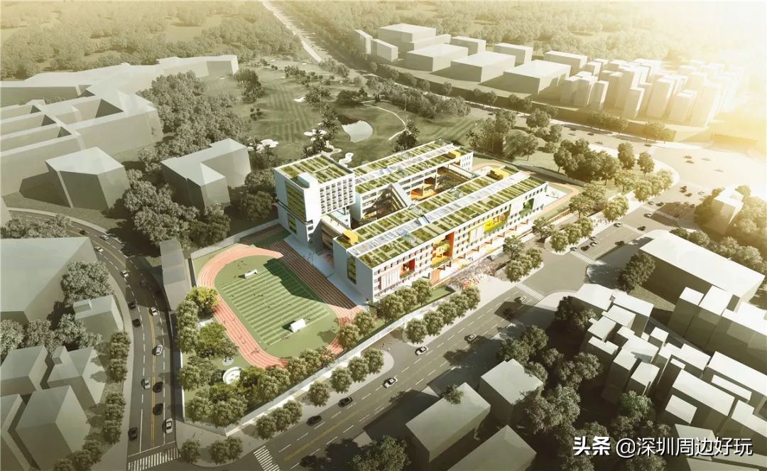 住在深圳的人,住在深圳的市民