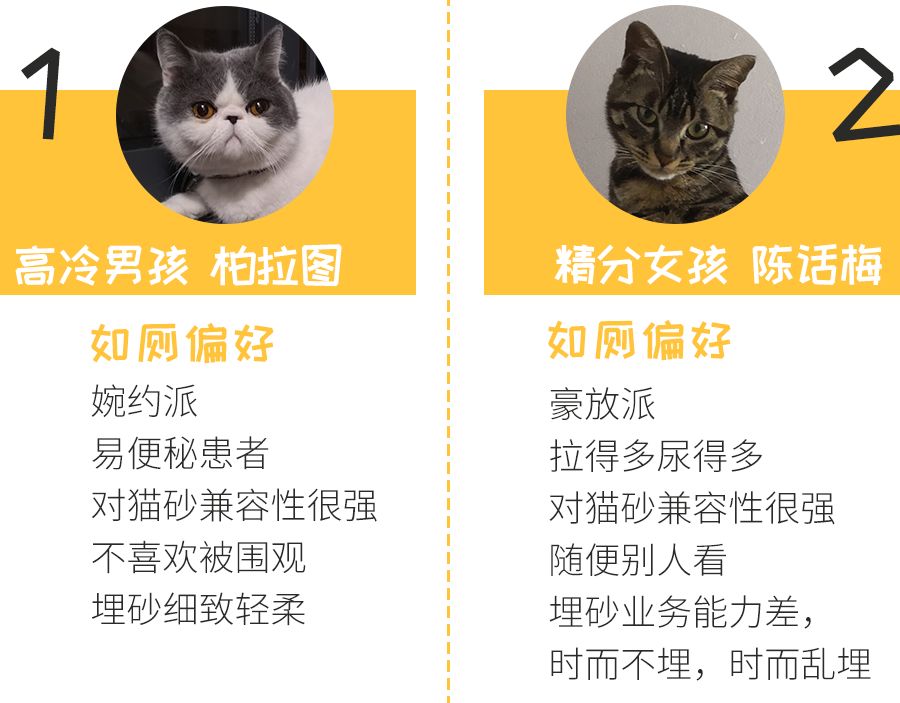 黑科技超强除臭猫砂,豆腐猫砂无粉尘真实测评