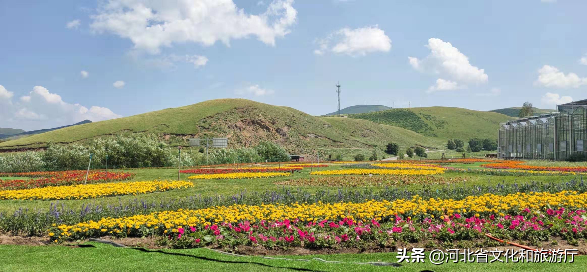 2019张北旅发大会,张家口旅发大会怀来