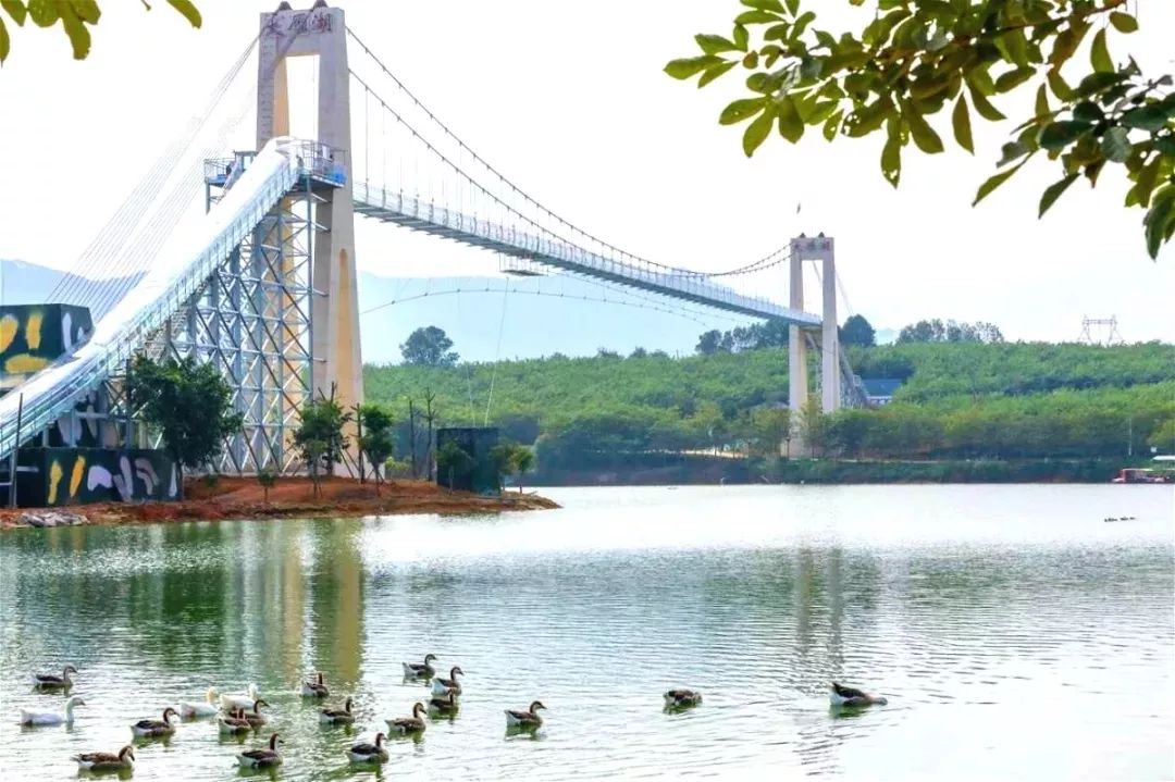 广东广州秋天正确的打开方式,广州花都夏天的好去处