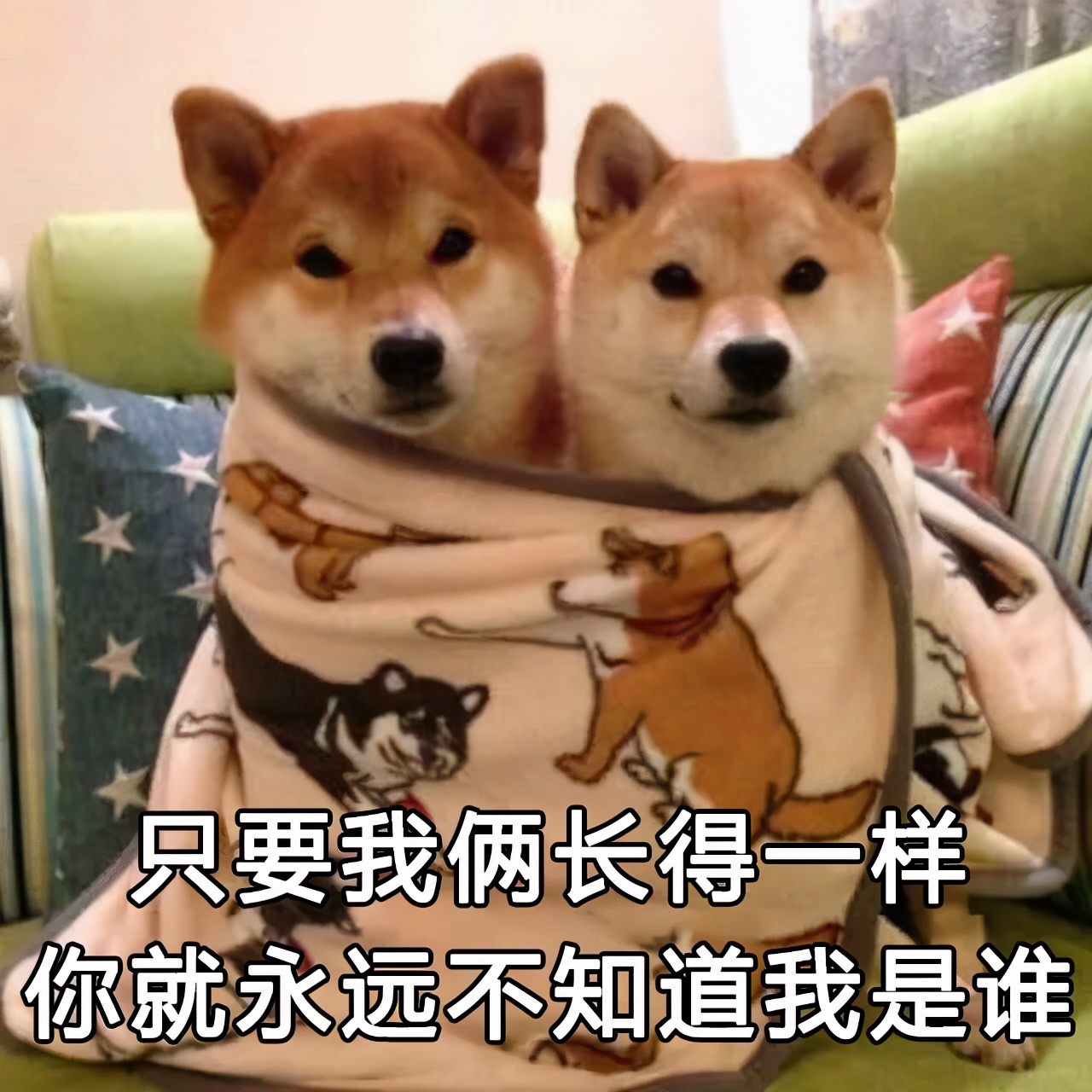 足球界的帅哥合集,足球坛十大帅哥