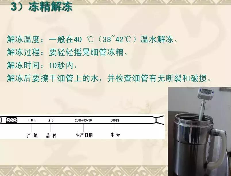 史上最细的打法技巧,输精法的技术要点和注意事项