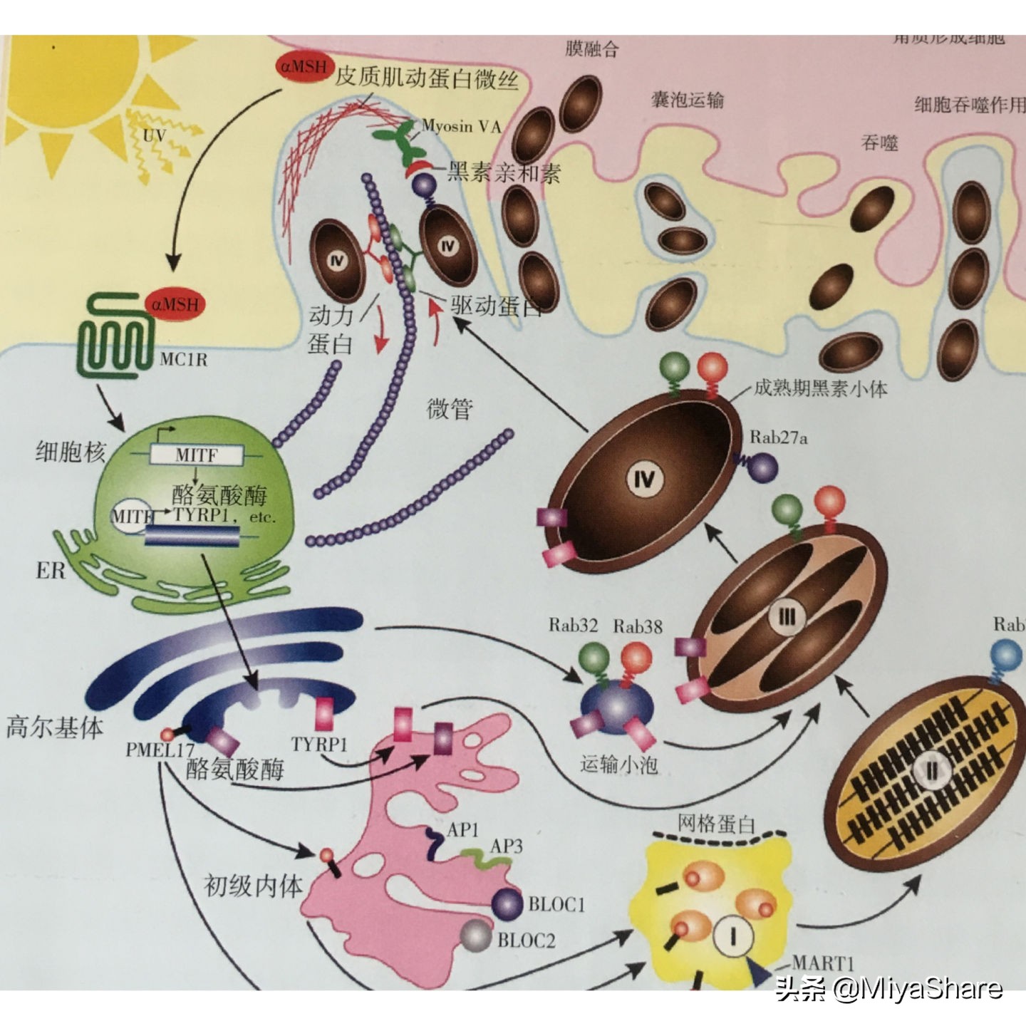 五款精华护肤品测评太好用了,测评5种精华