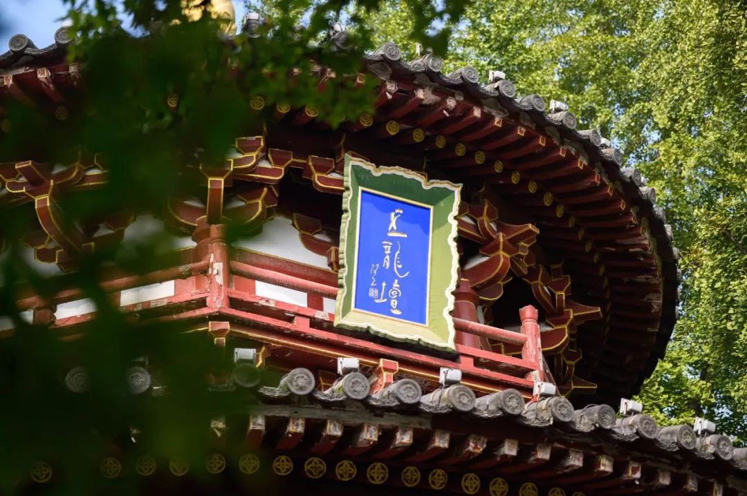 对西安有独特的情怀,热爱西安这座城市