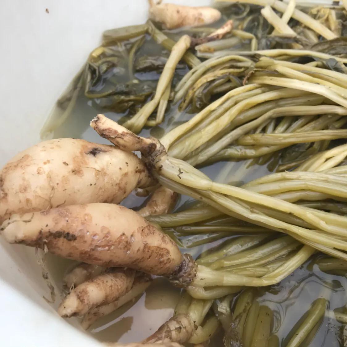 宁明县城美食推荐,宁明街拍