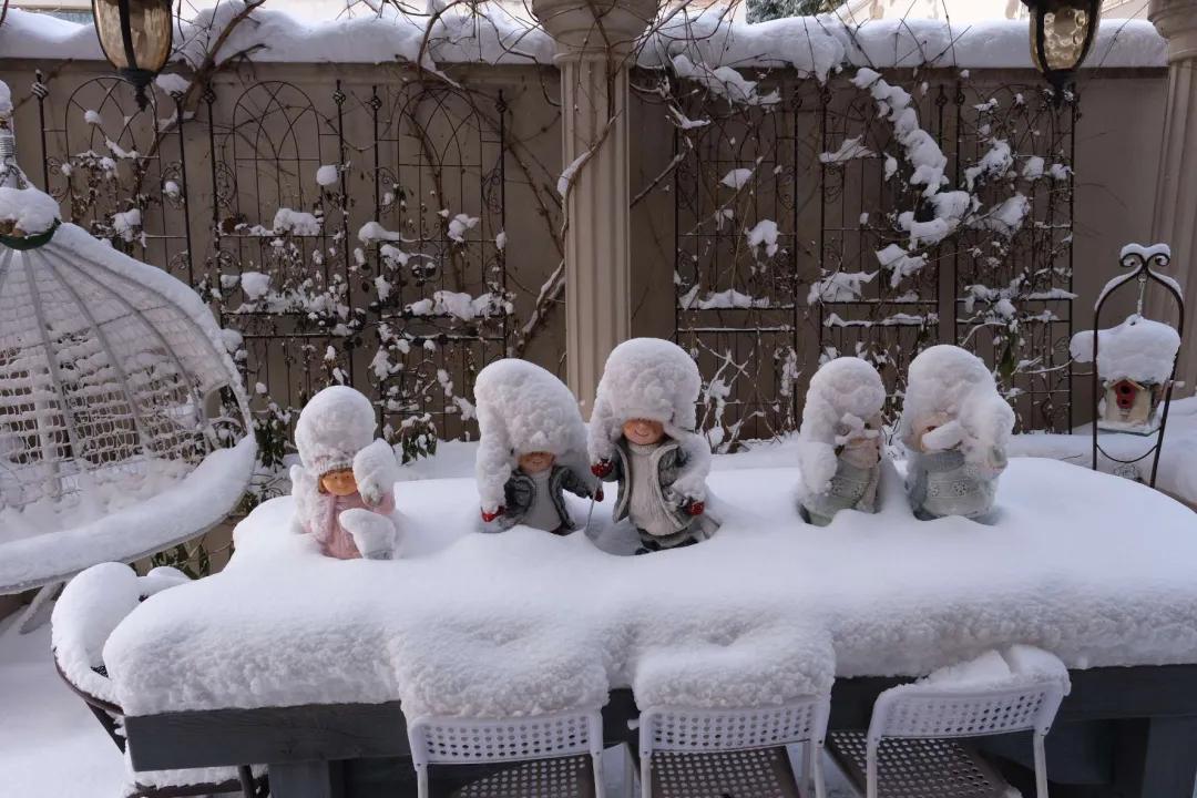 东北花园四季开花植物,北方一年四季都开花的花园