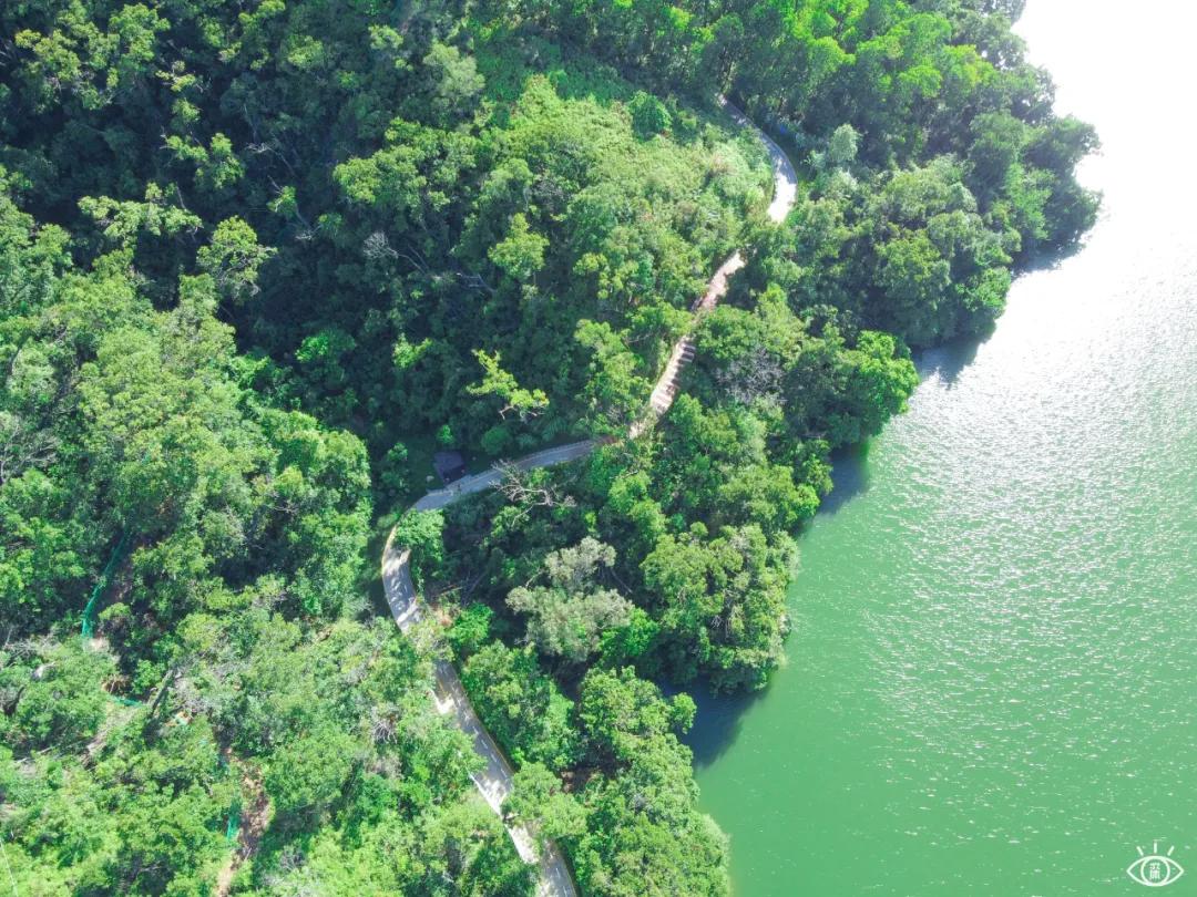 深圳这10条绿道你去过没,深圳十大绿道排行榜