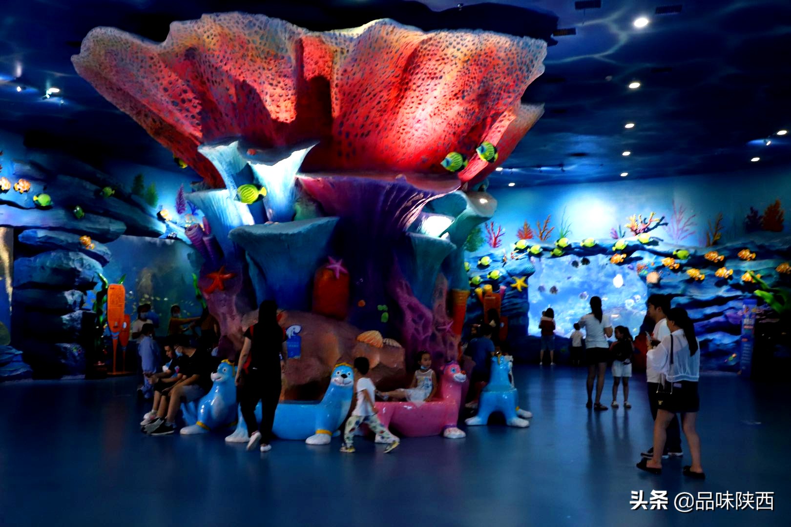 西安曲江海洋馆怎么样,西安曲江海洋馆有什么项目