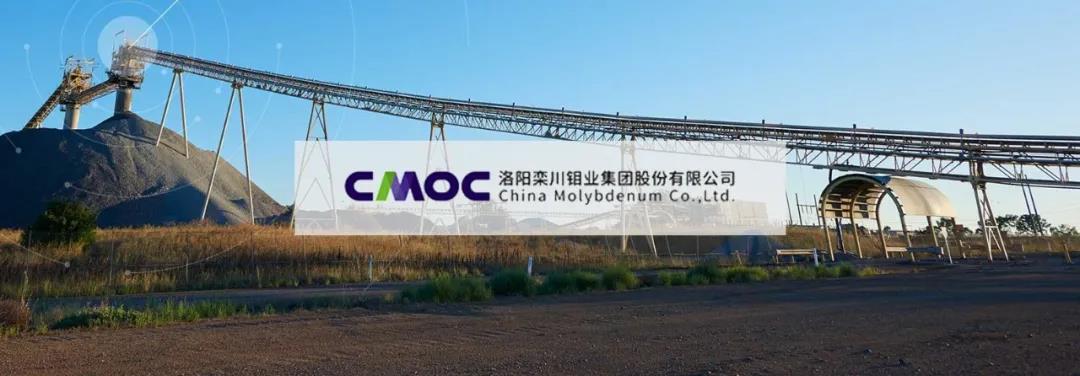 洛阳中国500强的公司,洛阳钼业是世界500强吗