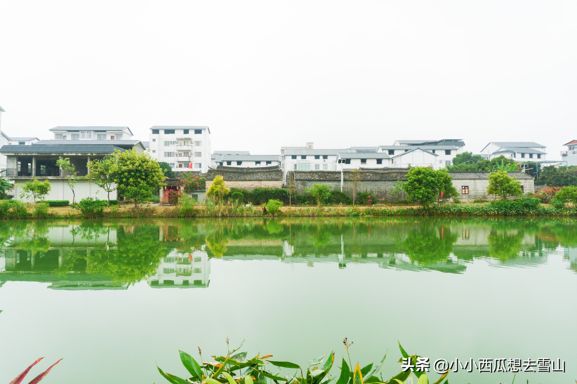 南宁周末好玩的地方,南宁周末休闲好去处