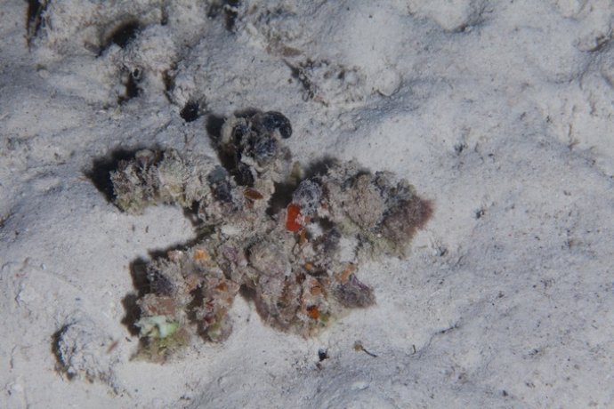 海底你不知道的东西,海底世界东海龙宫