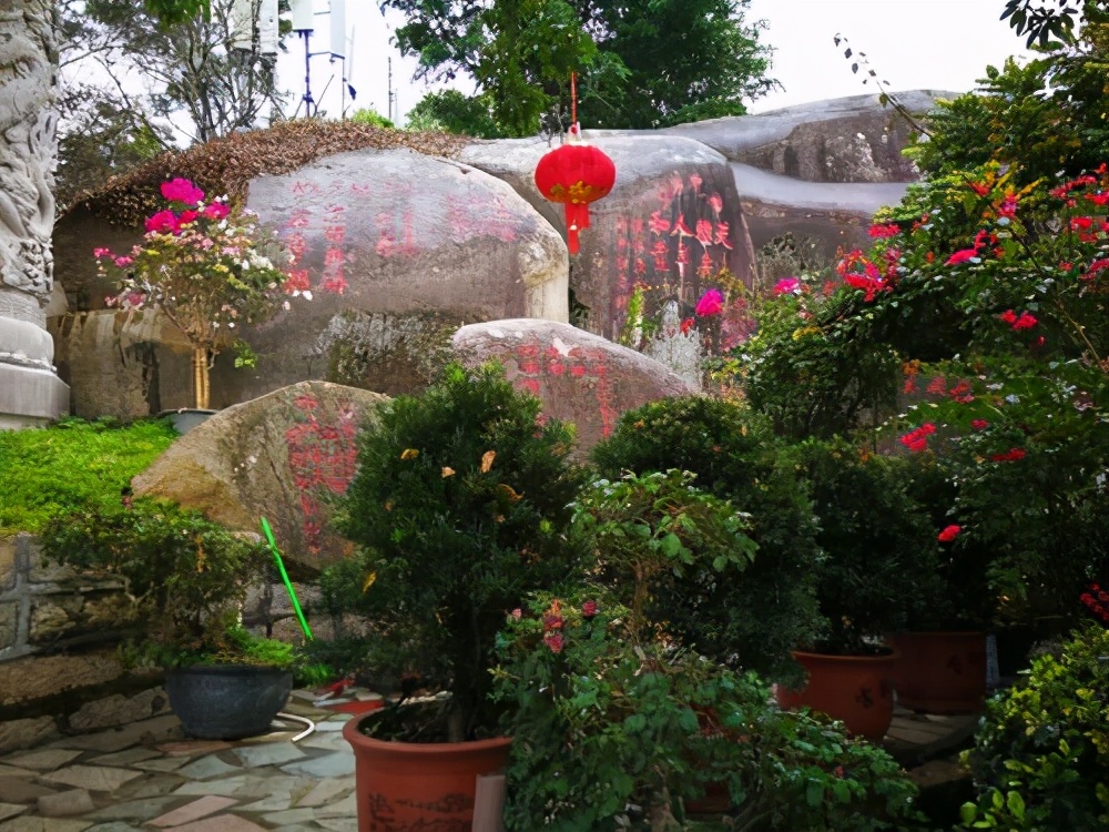 厦门旅游攻略免费,厦门旅游哪里好玩又免费攻略