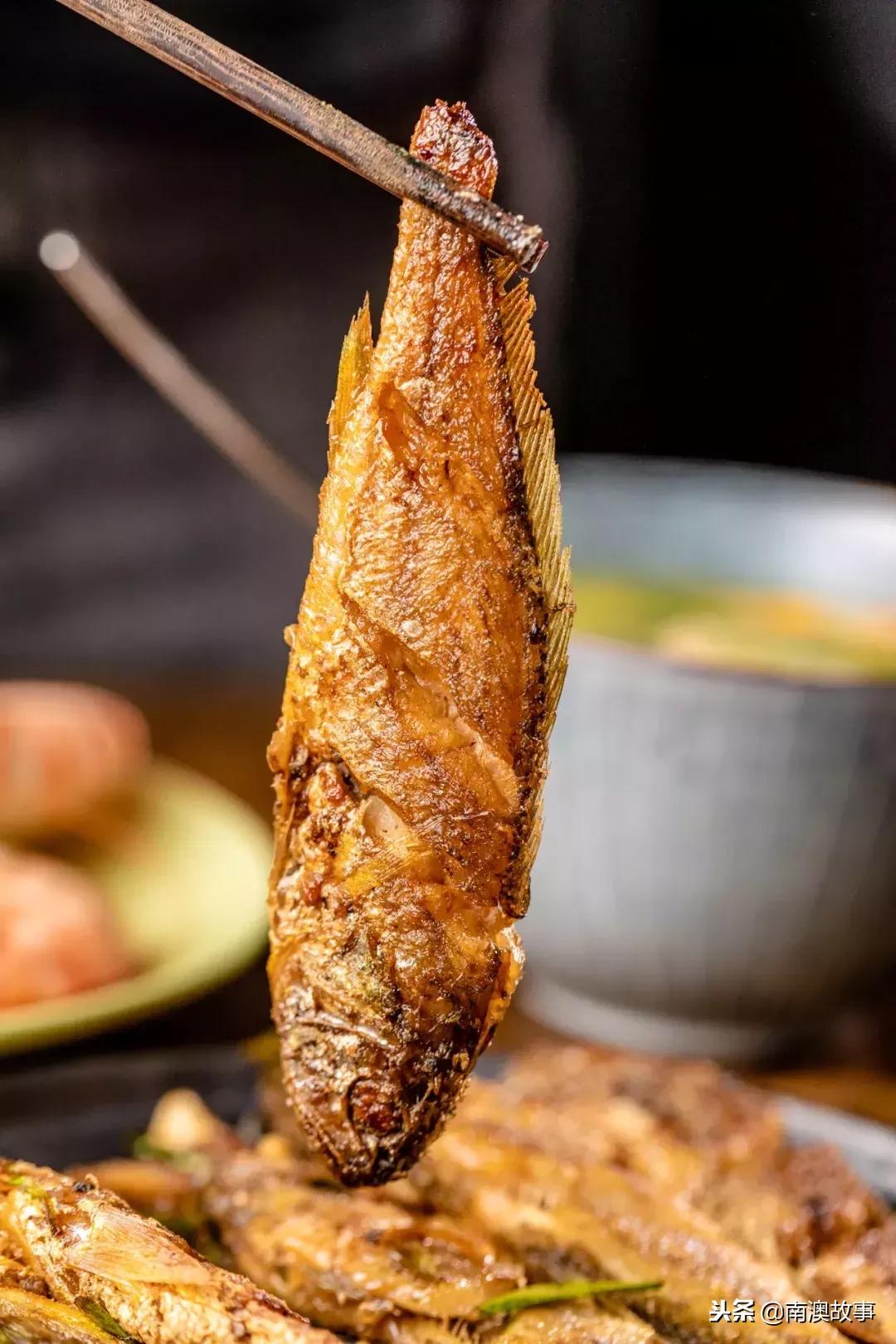 南澳岛渔民捕捞视频,南澳岛渔船捕捞