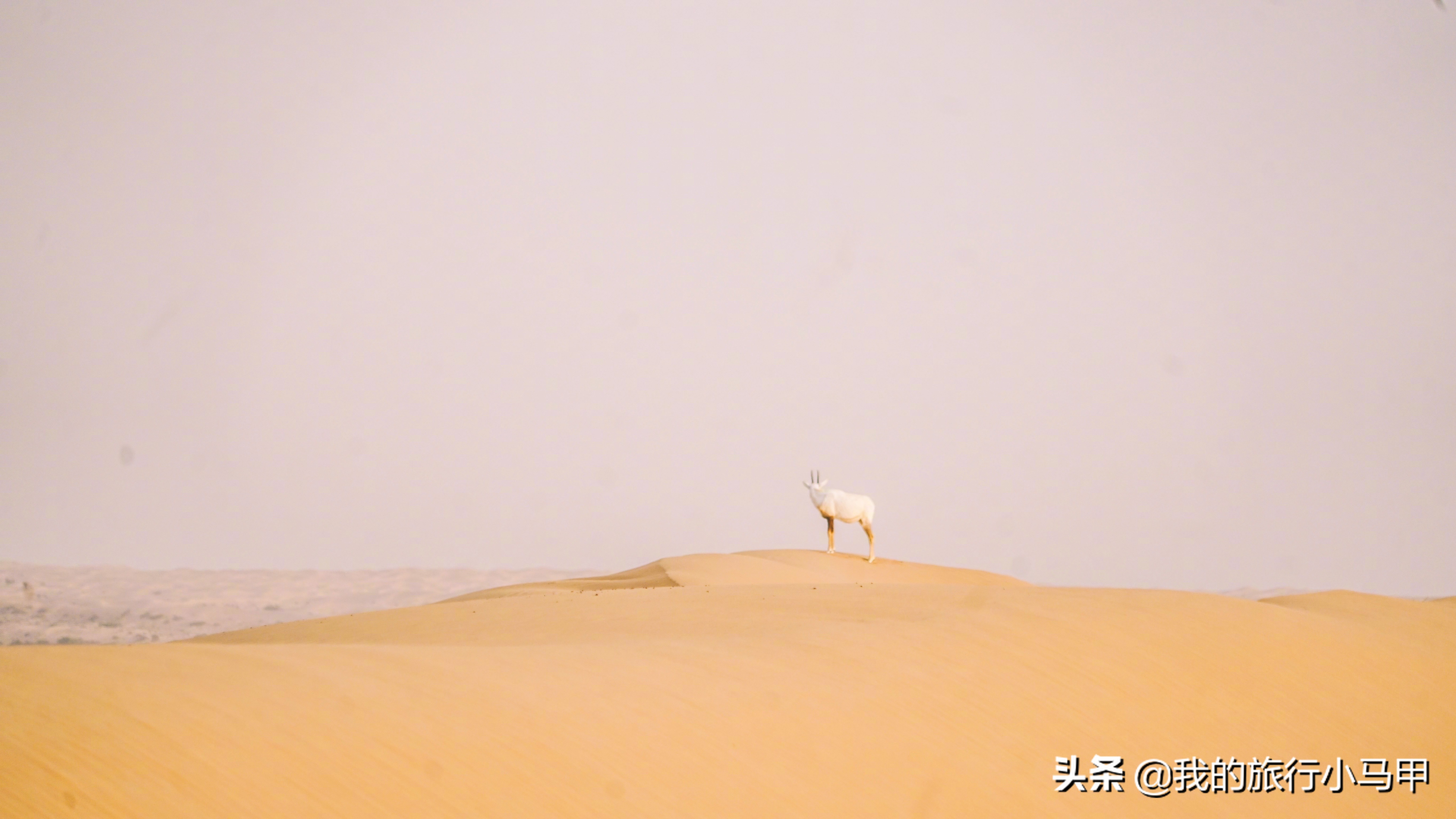 迪拜旅游攻略必去的地方,迪拜游玩全攻略