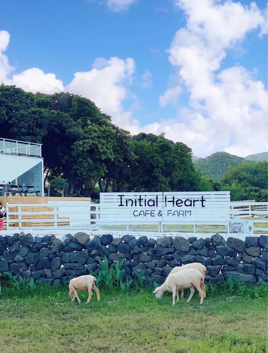 收藏!刷爆小红书的深圳济州岛绵羊牧场咖啡厅,256G都不够拍